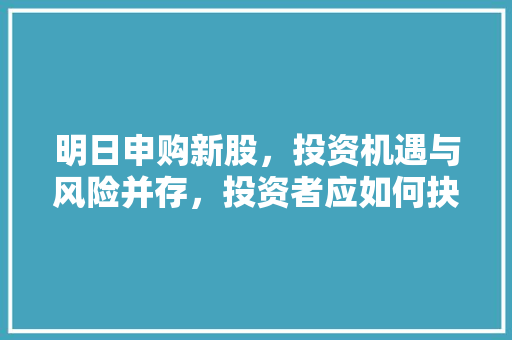明日申购新股，投资机遇与风险并存，投资者应如何抉择