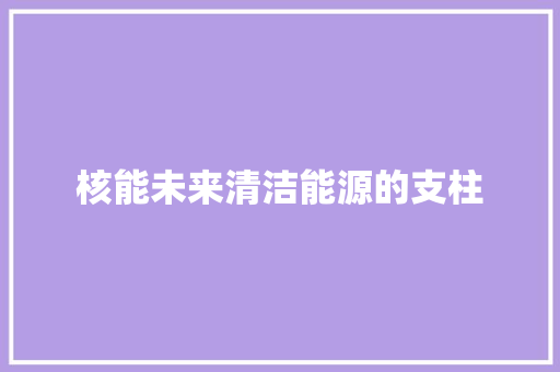核能未来清洁能源的支柱  第1张