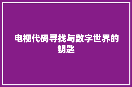 电视代码寻找与数字世界的钥匙