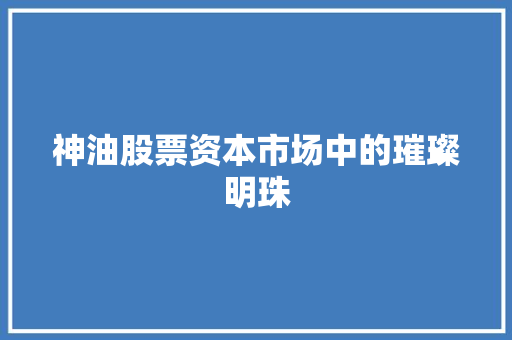 神油股票资本市场中的璀璨明珠
