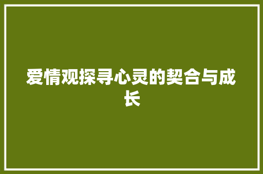 爱情观探寻心灵的契合与成长