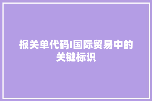 报关单代码I国际贸易中的关键标识