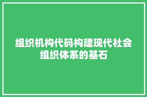 组织机构代码构建现代社会组织体系的基石