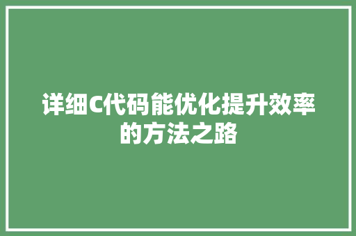 详细C代码能优化提升效率的方法之路