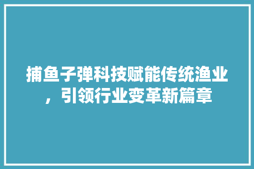 捕鱼子弹科技赋能传统渔业，引领行业变革新篇章