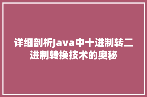 详细剖析Java中十进制转二进制转换技术的奥秘
