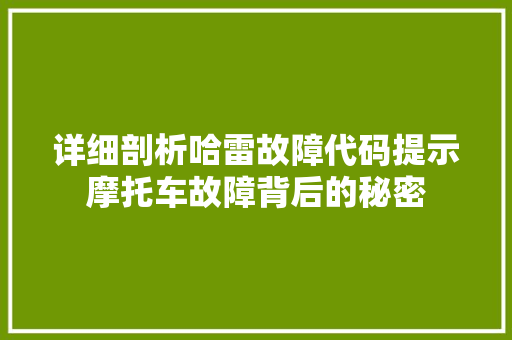 详细剖析哈雷故障代码提示摩托车故障背后的秘密  第1张