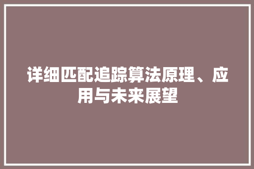 详细匹配追踪算法原理、应用与未来展望  第1张