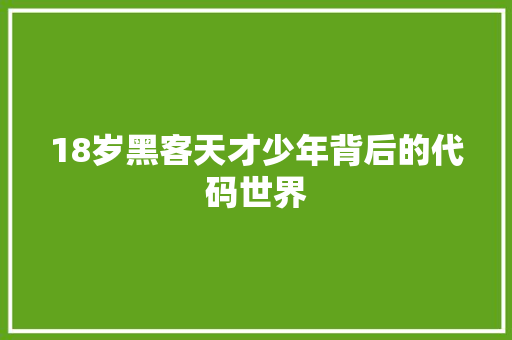 18岁黑客天才少年背后的代码世界