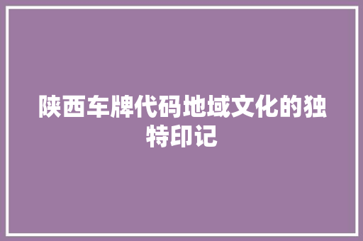 陕西车牌代码地域文化的独特印记