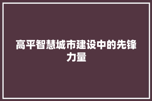 高平智慧城市建设中的先锋力量