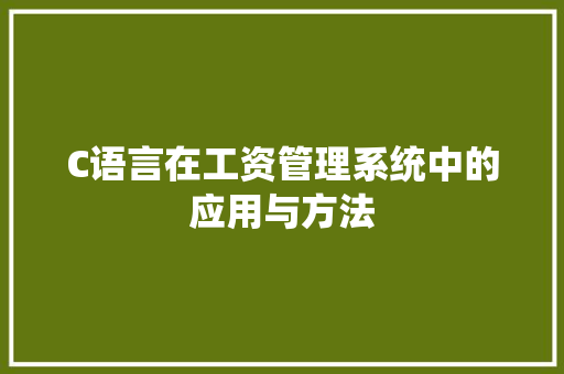 C语言在工资管理系统中的应用与方法