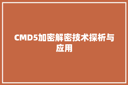 CMD5加密解密技术探析与应用  第1张