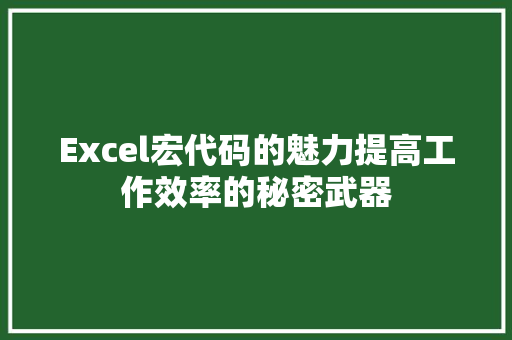 Excel宏代码的魅力提高工作效率的秘密武器