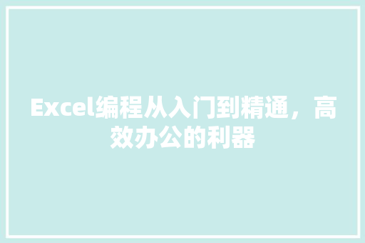 Excel编程从入门到精通，高效办公的利器