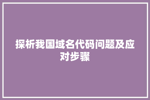 探析我国域名代码问题及应对步骤