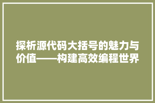 探析源代码大括号的魅力与价值——构建高效编程世界的基石