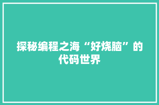 探秘编程之海“好烧脑”的代码世界