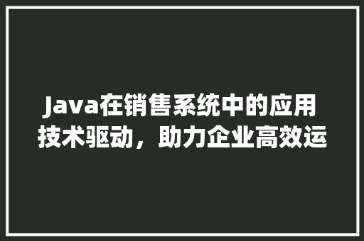Java在销售系统中的应用技术驱动，助力企业高效运营