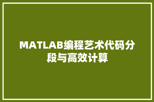 MATLAB编程艺术代码分段与高效计算
