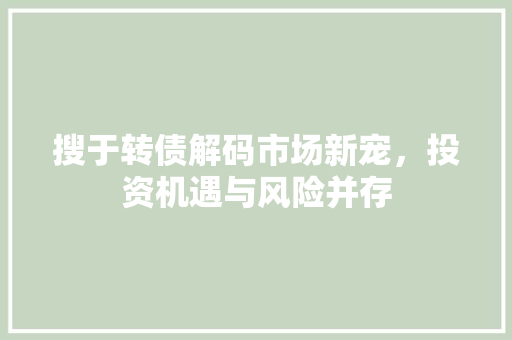 搜于转债解码市场新宠，投资机遇与风险并存