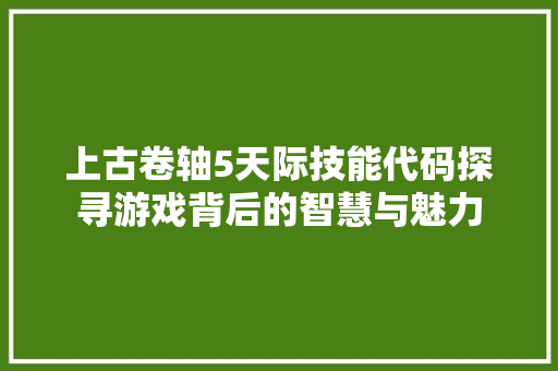 上古卷轴5天际技能代码探寻游戏背后的智慧与魅力