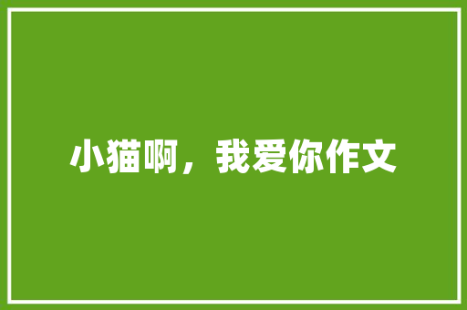 东昌学院砥砺前行，铸就辉煌——探索山东教育发展的新标杆  第1张