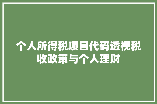 个人所得税项目代码透视税收政策与个人理财