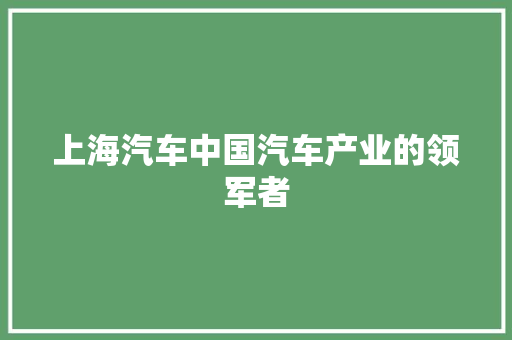 上海汽车中国汽车产业的领军者