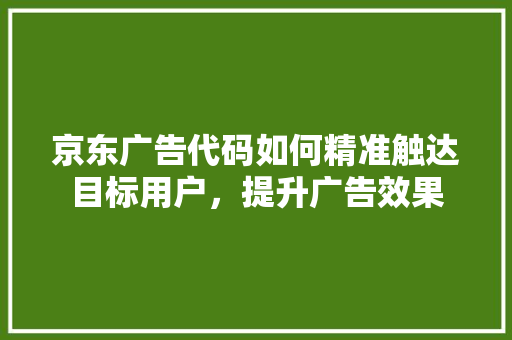 京东广告代码如何精准触达目标用户，提升广告效果