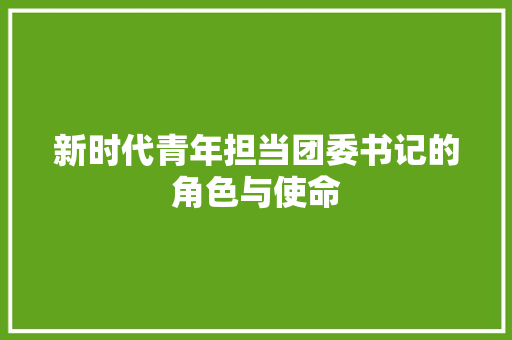 新时代青年担当团委书记的角色与使命