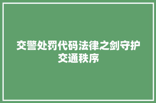 交警处罚代码法律之剑守护交通秩序