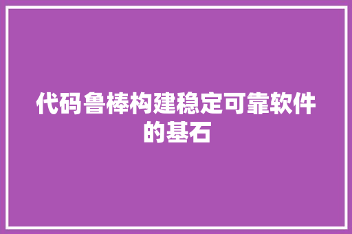 代码鲁棒构建稳定可靠软件的基石