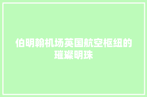 伯明翰机场英国航空枢纽的璀璨明珠