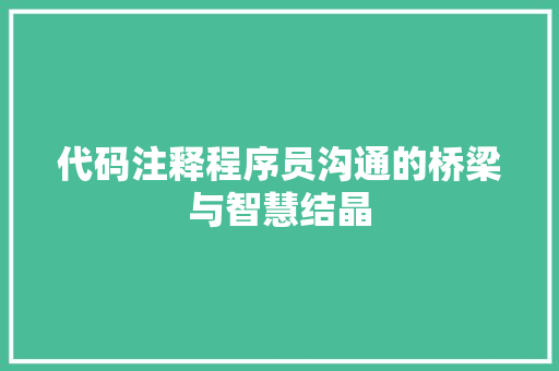 代码注释程序员沟通的桥梁与智慧结晶