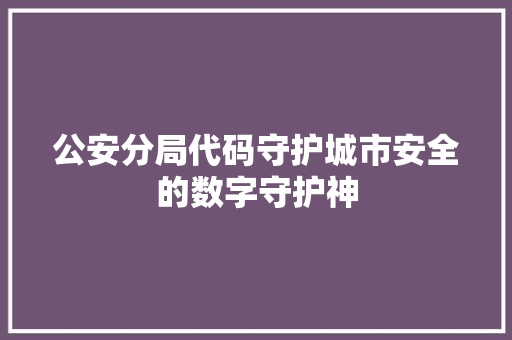 公安分局代码守护城市安全的数字守护神