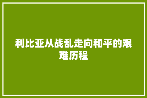 利比亚从战乱走向和平的艰难历程