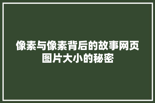 像素与像素背后的故事网页图片大小的秘密