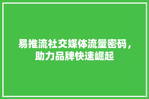 易推流社交媒体流量密码，助力品牌快速崛起