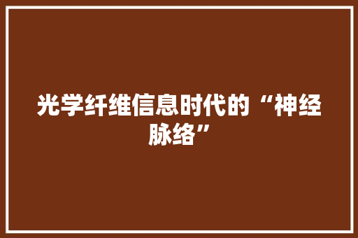 光学纤维信息时代的“神经脉络”  第1张