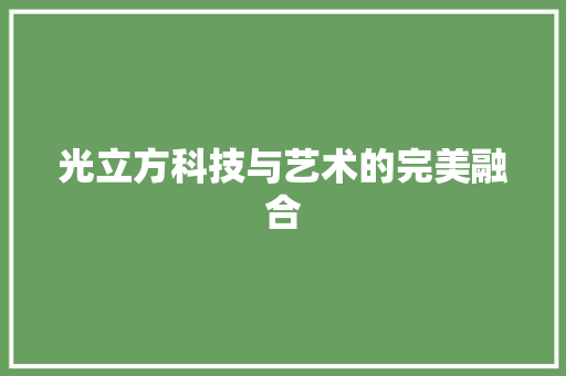 光立方科技与艺术的完美融合