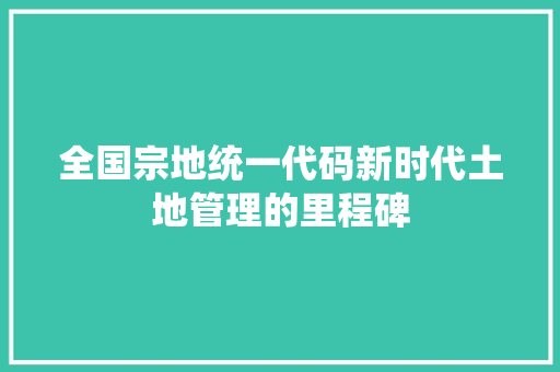全国宗地统一代码新时代土地管理的里程碑