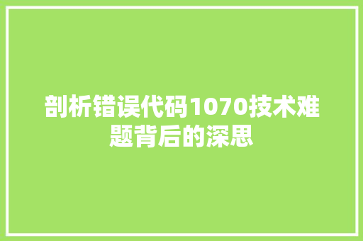 剖析错误代码1070技术难题背后的深思