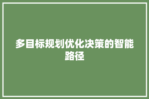 多目标规划优化决策的智能路径  第1张