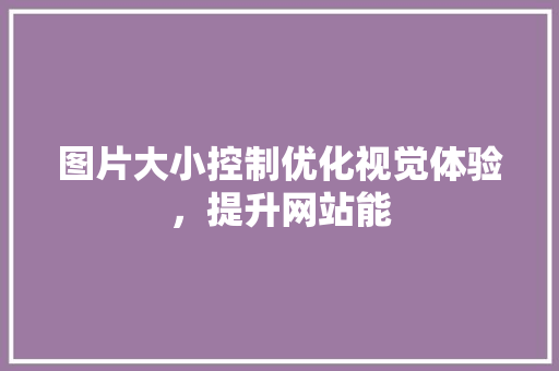 图片大小控制优化视觉体验，提升网站能