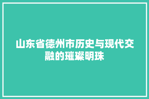 山东省德州市历史与现代交融的璀璨明珠  第1张