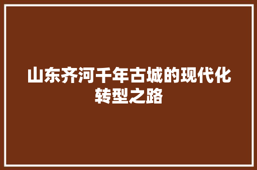 山东齐河千年古城的现代化转型之路  第1张