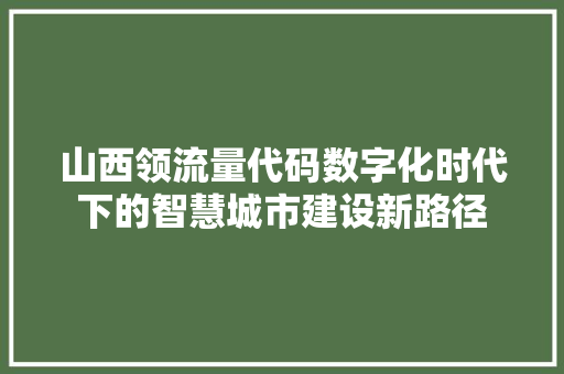山西领流量代码数字化时代下的智慧城市建设新路径  第1张