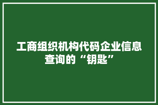 工商组织机构代码企业信息查询的“钥匙”