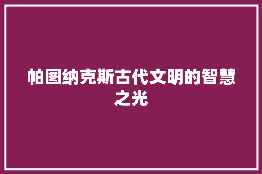 帕图纳克斯古代文明的智慧之光  第1张